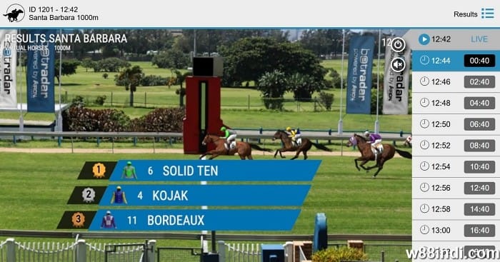 วิธีชนะพนันม้า